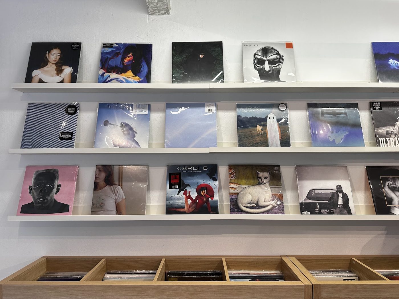 Wall of vinyl sleeves